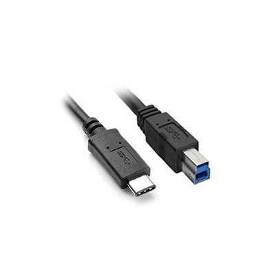 8WR-CNV-USB31-TYPE-C-B-MM-1M.jpg 8ware UC-3001BC, USB 3.1 Cable Type-C to B Male to Male, 1m